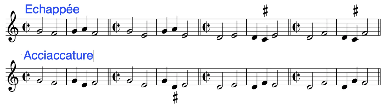 Acciaccature