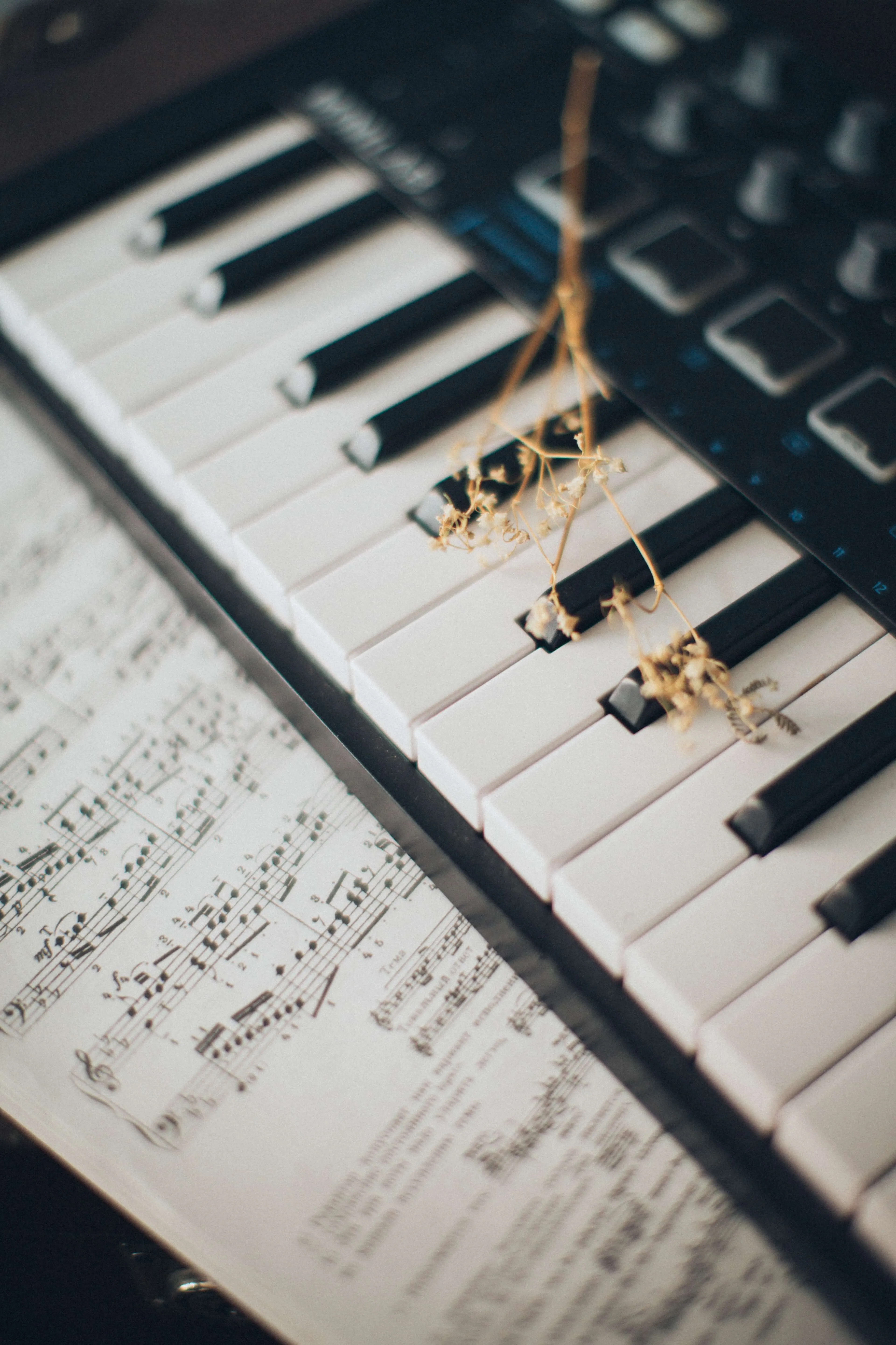 Analisis Melodia