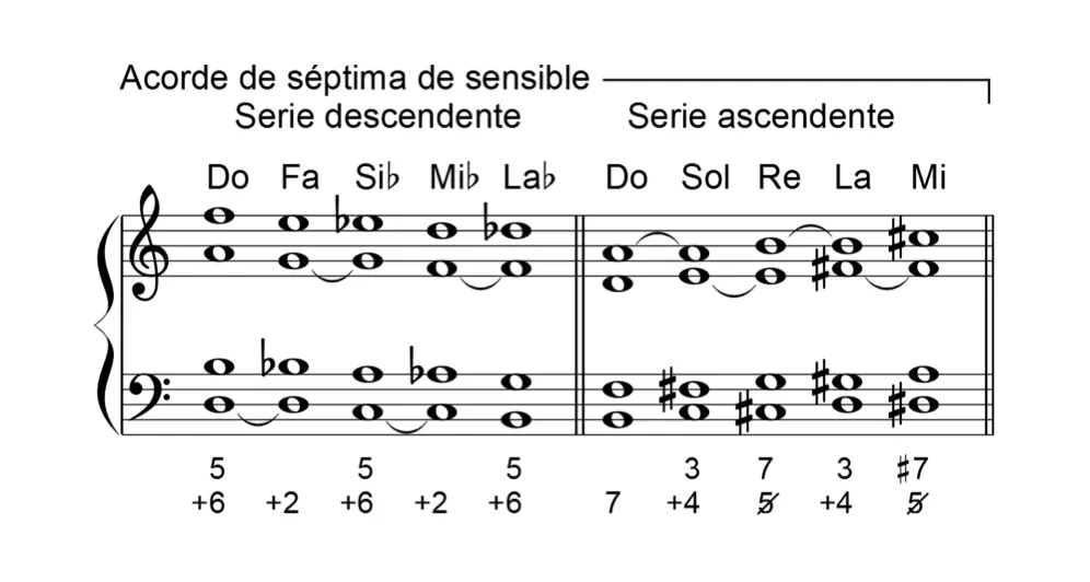 Serie De Séptimas De Sensible Y Disminuida.